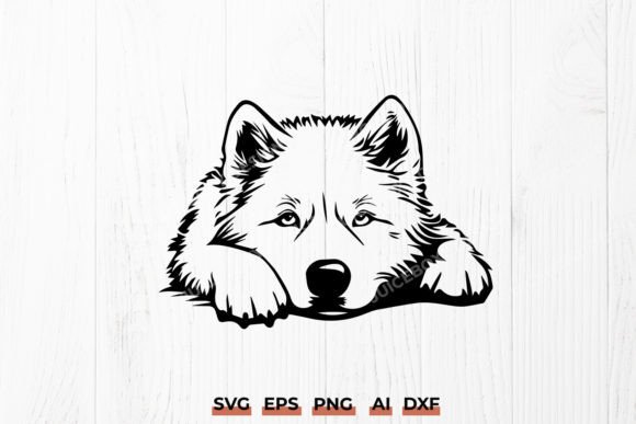 Samoyed Dog Resting SVG - Pet Silhouette